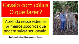 Cólica Em Equinos  Quais Os Primeiros Socorros A Serem Feitos Antes Do Veterinário Chegar Aprenda [upl. by Adnarom]