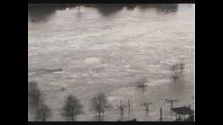 Hochwasser in Deutschland 2011  Die Mosel [upl. by Jezabelle]