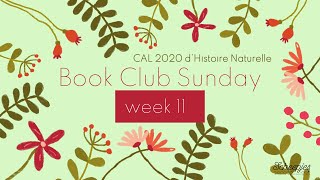 Scheepjes CAL 2020  dHistoire Naturelle  Book Club Sunday  Week 11 [upl. by Berkshire28]