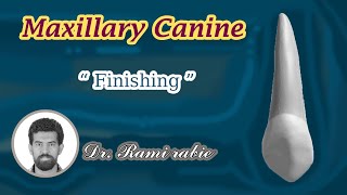 Maxillary canine carving part 3 quotfinishingquot [upl. by Dorrej]