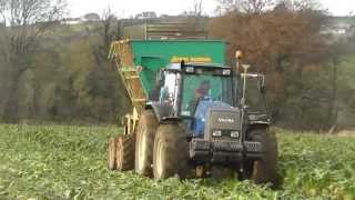 Harvesting Sugar Beet  CoCork [upl. by Coumas]