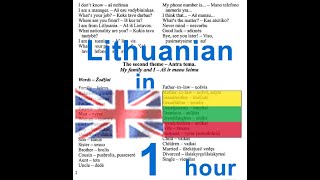 Lithuanian language course Anglų lietuvių kalbos pamokos kursas [upl. by Nekial]