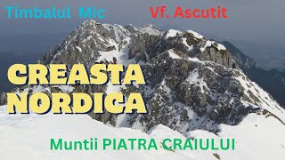 CREASTA NORDICA IARNA de LA OM la Vf ASCUTIT BrusturetGrindLa OmTimbalul MicVf Ascutit [upl. by Joane]