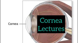 Cornea lectures part 1 Eye lectures  Jatoi  Opthalmology lectures eyelectures cornea eye [upl. by Uah]