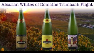 A conversation with Anne Trimbach of Domaine Trimbach [upl. by Rydder]