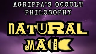 Agrippas Occult Philosophy  NATURAL MAGIC Audiobook By Henry Cornelius Agrippa [upl. by Anaiuq64]