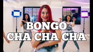 BONGO CHA CHA CHA by Goodboys  SALSATION® Choreography by SMT Julia Trotskaya [upl. by Gladis359]