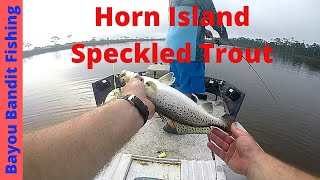 Horn Island Specked Trout [upl. by Aes]