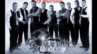 Alacranes Musical MixDJ Sharkboy [upl. by Gayle]