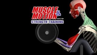 How Strength Training Works Get In Depth Knowledge with our 3D Anatomy Software [upl. by Yennek]