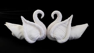 Swan Towel art  Swan Towel folding  Towel origami [upl. by Aletse290]