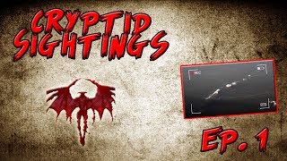 Cryptid Sightings  Episode 1 [upl. by Earazed326]