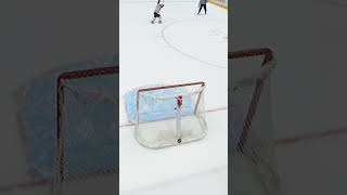 GOALIE GOAL ALERTl❗🚨🤯 [upl. by Ztnahc583]