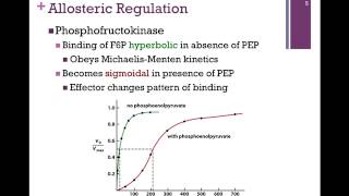 051Allosteric Regulation Summary of Enzyme Regulation [upl. by Noicnecsa297]