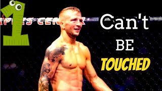 TJ dillashaw  Cant Be Touched Highlights 2019 [upl. by Colner]