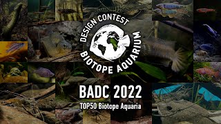 TOP50 Biotope Aquarium Design Contest BADC2022 [upl. by Medorra]