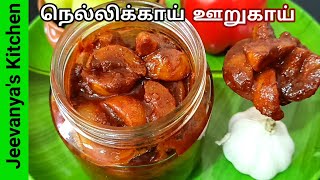 மாத கணக்கில் இருந்தாலும் சுவை மாறாத நெல்லிக்காய் ஊறுகாய்Amla pickle in Tamilnellikai oorugai [upl. by Avad]