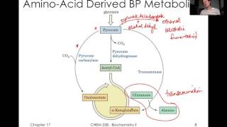 TCA Cycle Reguation and Glyoxylate Cycle [upl. by Enileme]