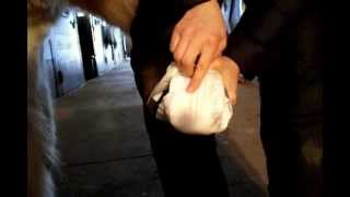 How To Wrap Your Horses Hoof [upl. by Ahgem]