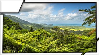 Daintree Rainforest Australia  The Oldest Forest In The World [upl. by Keynes]