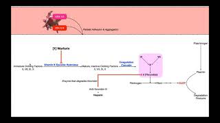 Cardiac Pharmacology Part 2  Antithrombotics amp Anticoagulants [upl. by Saltsman671]