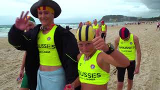 The Aussies 2019 highlights [upl. by Leasim24]