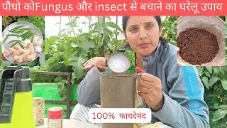 पौधो के लिए जैविक फंगीसाइड और कीटनाशक organic fungicide and insecticide for plants [upl. by Prosperus463]