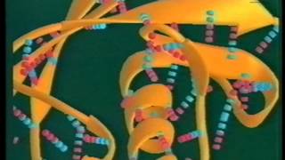 BioBits 56 Biochemische processen in de cel [upl. by Grizel]