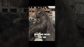 kingdom of the planet of the apes i what a wonderful day official clip [upl. by Marrissa961]