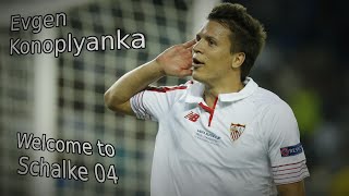 ► Evgen Konoplyanka ◄ ★ Welcome to FC Schalke 04 ★ 2016 [upl. by Ravi]