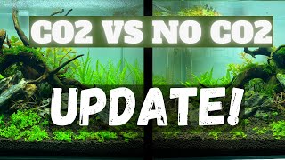 Crazy Difference After 1 Week Only CO2 vs NO CO2 Update  Twin Scape Experiment Ep 3 [upl. by Inohtna]