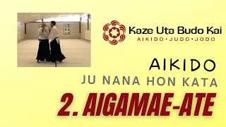 Aikido Ju Nana Hon Kata  2 Aigamae Ate [upl. by Pepillo690]