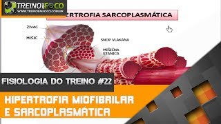 Hipertrofia Miofibrilar e Hipertrofia Sarcoplasmática  Fisiologia do Treino 22 [upl. by Aivek]