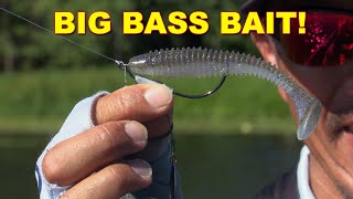 Paddle Tail Swimbaits for Spring Bass with Shin Fukae  Bass Fishing [upl. by Leahcimnaj]