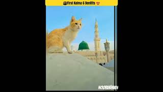 First Kalma 6 Benifits 🕋shots Allah 2024 bayan ₹ [upl. by Nnaeinahpets]