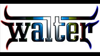 VIENEN LAS BRUJAS  COLOMBIANOS CON GUACHARACA  DJ WALTER MASTERMIX [upl. by Fulvia]