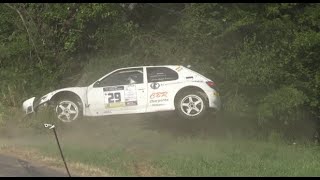 Rallye du Sel 2024 Crash [upl. by Prudhoe]