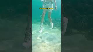 Someone asked me what happens if the shoes in sea water [upl. by Orlan]