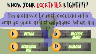 COCKTAIL RIDDLES PART 3 Cocktail Concoctions [upl. by Trev262]