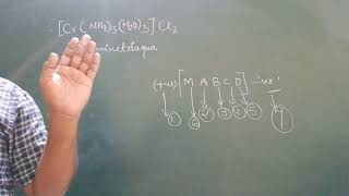 Coordination compounds Class 12th Chemistry I Naming of mononuclear coordination compounds l Ncert [upl. by Ajnot]