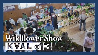 Glide Wildflower Show Seeking Volunteers [upl. by Sergo243]