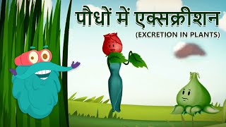 एक्सक्रीशन इन प्लांट्स  पौधों में उत्सर्जन  Excretion In Plants In Hindi  DrBinocs Show [upl. by Aihsiym]