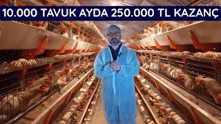 10000 KAPASİTE OTOMATİK SİSTEM TAVUK ÇİFTLİĞİ KURDUK AYLIK KAZANCI [upl. by Ruthi]