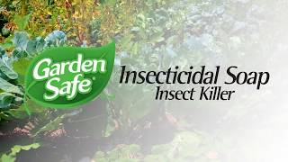 Garden Safe Brand Insecticidal Soap [upl. by Kendy]