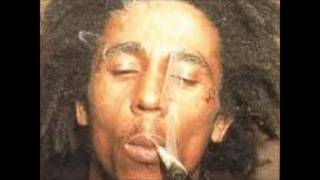 Bob Marley amp The Wailers  Small Axe A million small axes chop the NWO down [upl. by Acnaiv205]