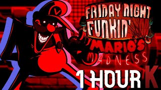 Paranoia  Friday Night Funkin FULL SONG 1 HOUR [upl. by Dasteel201]