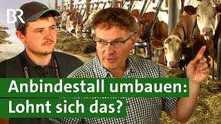 Anbindehaltung vor dem Aus  Bauern in der Klemme Dicht machen oder umbauen  Unser Land  BR [upl. by Adoc]