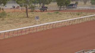 Cloncurry 04112023 Race 2 [upl. by Esylle]