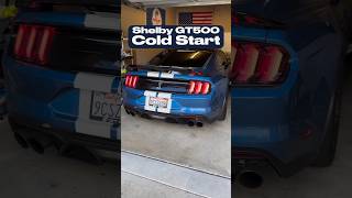 Shelby GT500 Cold Start 🏎️ [upl. by Tnecillim]