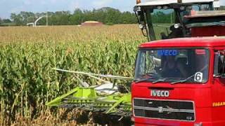 Claas Jaguar 960 e 850  Insilato stalla sociale di Monastier [upl. by Vaules174]